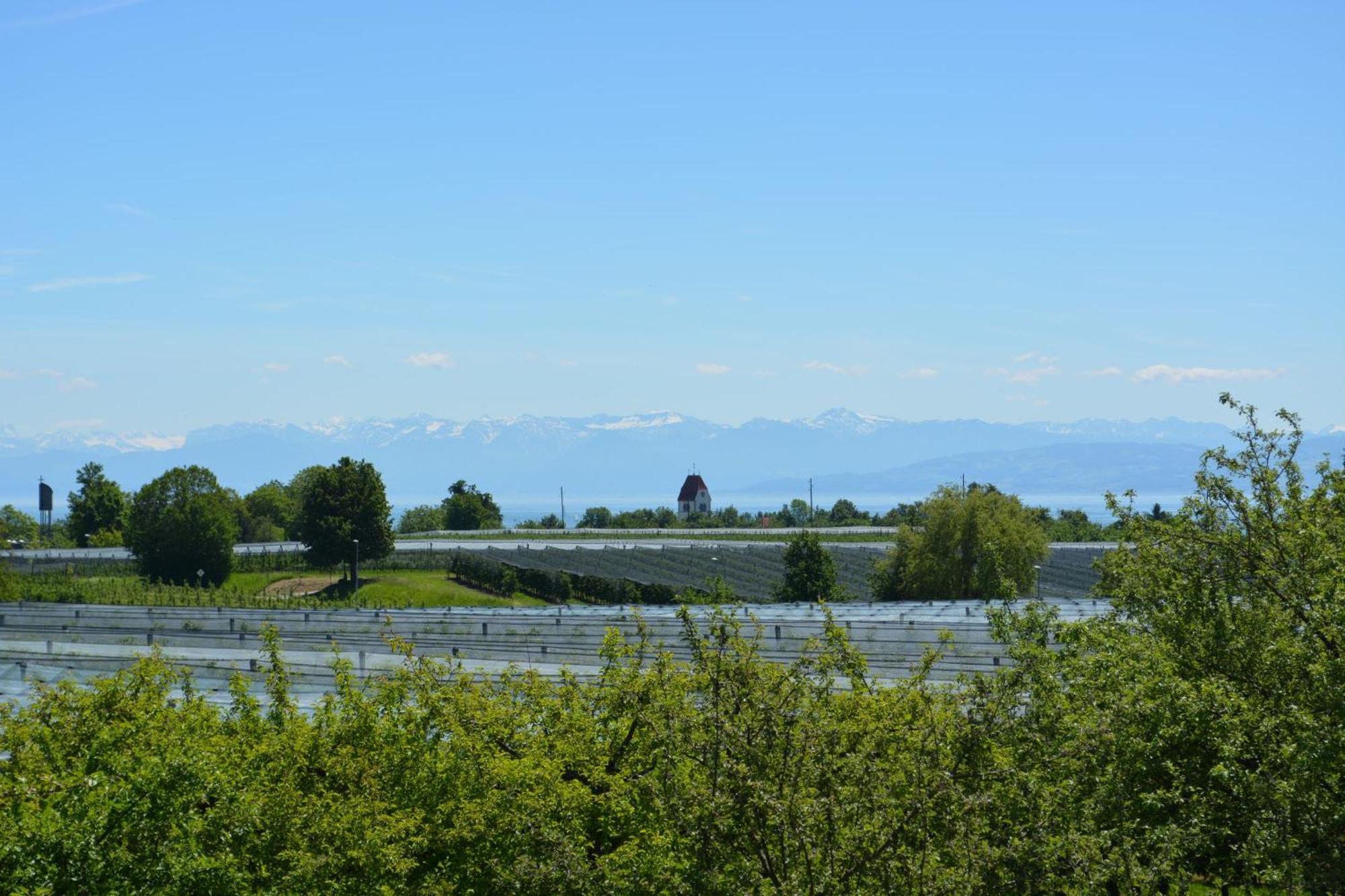 Ferienwohnung Plocher Immenstaad am Bodensee Exterior foto