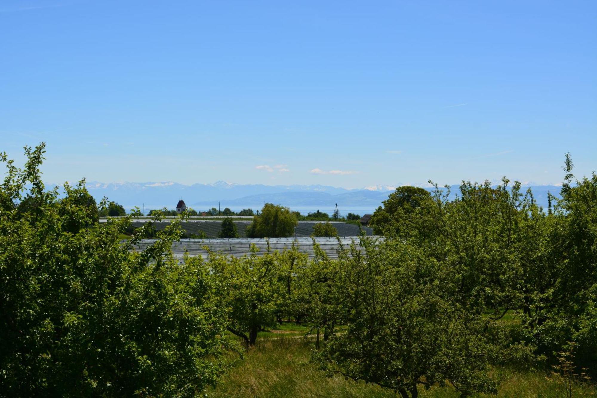 Ferienwohnung Plocher Immenstaad am Bodensee Exterior foto